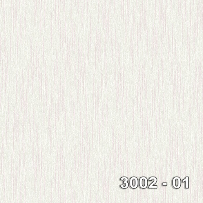 Armani 3002-01 3002-01