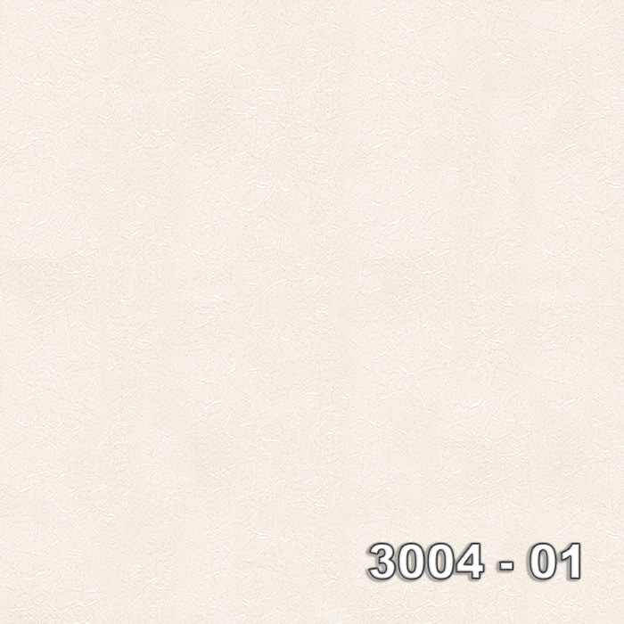 Armani 3004-01 3004-01