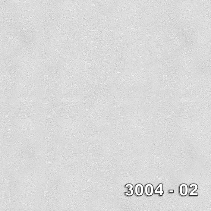 Armani 3004-02 3004-02