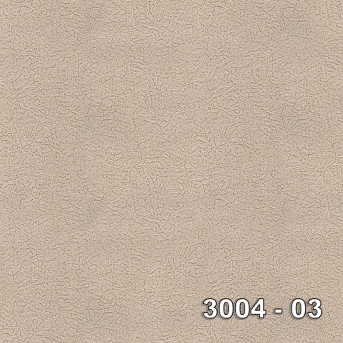 Armani 3004-03 3004-03