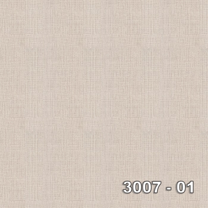 Armani 3007-01 3007-01